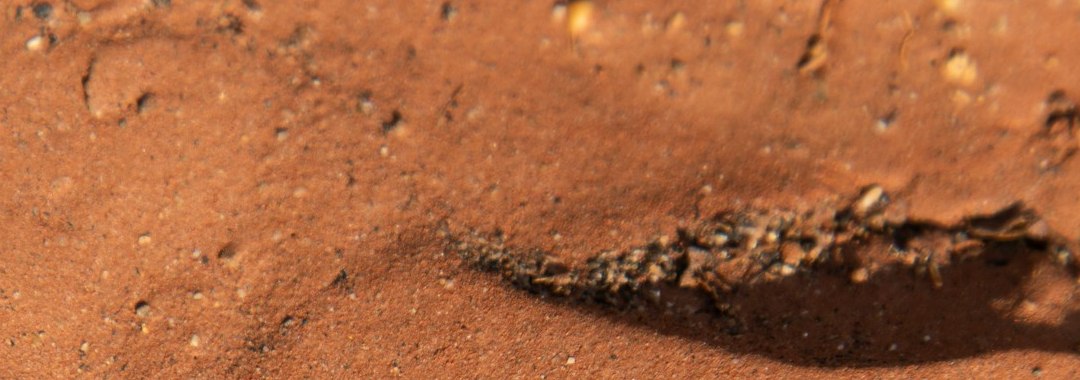 Textura de arena