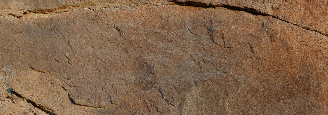 Textura de piedra
